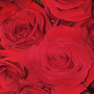 Meet your Posher, Izabella